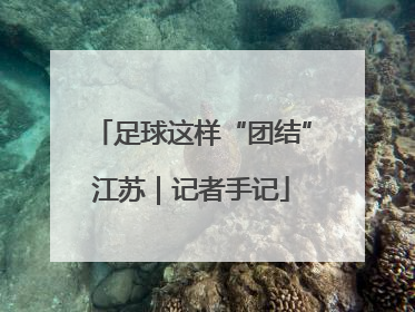 足球这样“团结”江苏｜记者手记