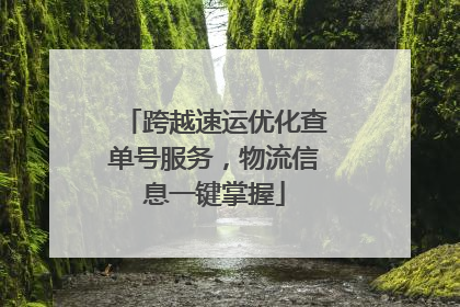 跨越速运优化查单号服务，物流信息一键掌握