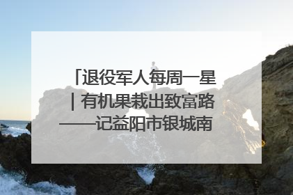 退役军人每周一星｜有机果栽出致富路——记益阳市银城南湖蔬果农民专业合作社总经理晏桂明
