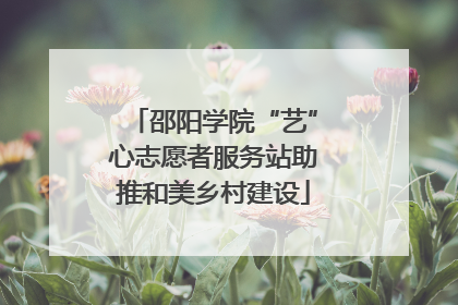 邵阳学院“艺”心志愿者服务站助推和美乡村建设