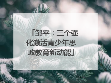 邹平：三个强化激活青少年思政教育新动能