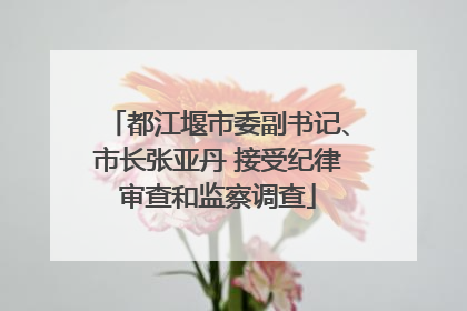 都江堰市委副书记、市长张亚丹 接受纪律审查和监察调查