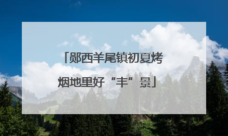 郧西羊尾镇初夏烤烟地里好“丰”景