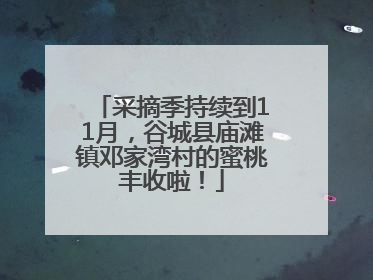 采摘季持续到11月，谷城县庙滩镇邓家湾村的蜜桃丰收啦！