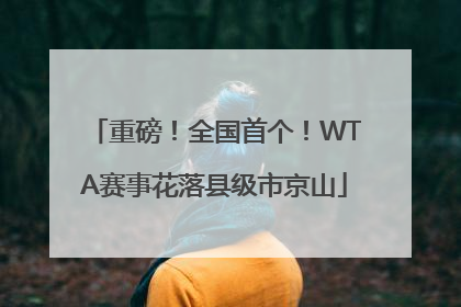 重磅！全国首个！WTA赛事花落县级市京山