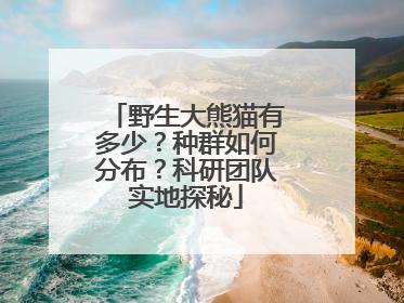 野生大熊猫有多少？种群如何分布？科研团队实地探秘