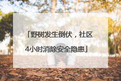 野树发生倒伏，社区4小时消除安全隐患