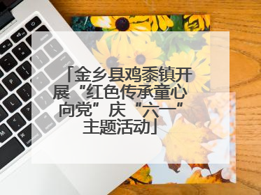 金乡县鸡黍镇开展“红色传承童心向党”庆“六一”主题活动