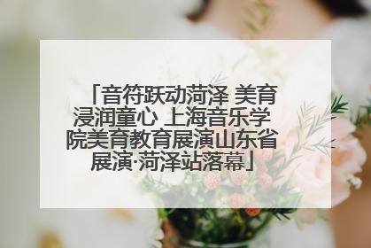 音符跃动菏泽 美育浸润童心 上海音乐学院美育教育展演山东省展演·菏泽站落幕