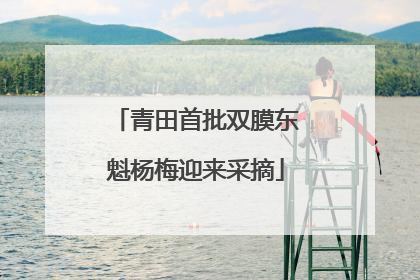 青田首批双膜东魁杨梅迎来采摘