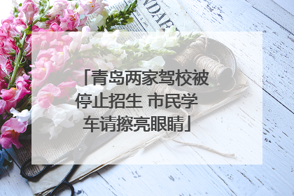 青岛两家驾校被停止招生 市民学车请擦亮眼睛