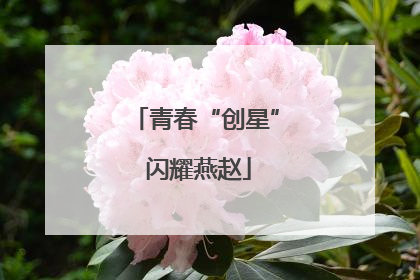 青春“创星” 闪耀燕赵