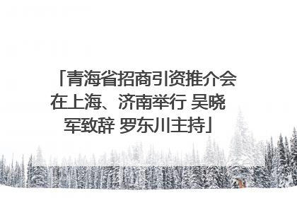 青海省招商引资推介会在上海、济南举行 吴晓军致辞 罗东川主持