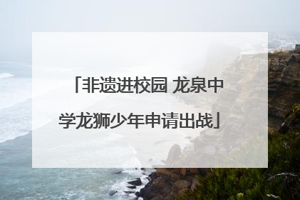 非遗进校园 龙泉中学龙狮少年申请出战