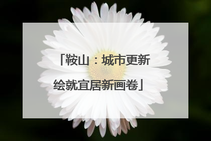 鞍山：城市更新绘就宜居新画卷