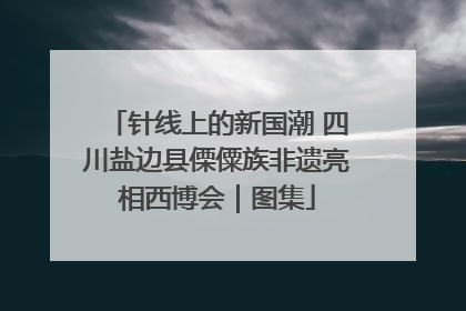 针线上的新国潮 四川盐边县傈僳族非遗亮相西博会｜图集