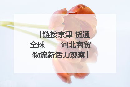 链接京津 货通全球——河北商贸物流新活力观察