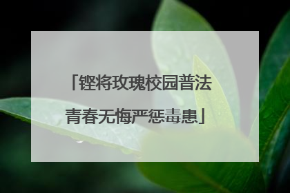 铿将玫瑰校园普法 青春无悔严惩毒患