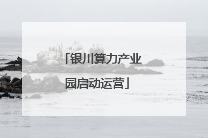 银川算力产业园启动运营