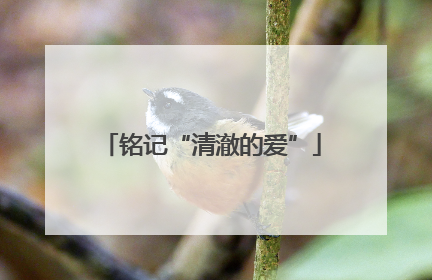 铭记“清澈的爱”