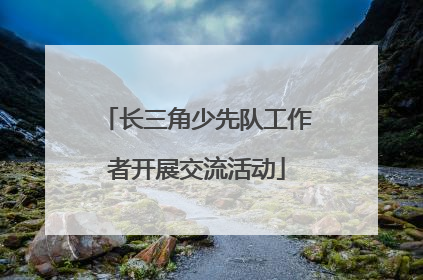 长三角少先队工作者开展交流活动