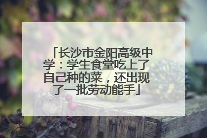 长沙市金阳高级中学：学生食堂吃上了自己种的菜，还出现了一批劳动能手