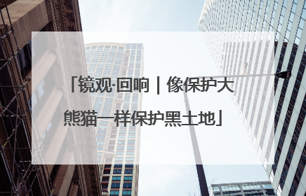 镜观·回响｜像保护大熊猫一样保护黑土地