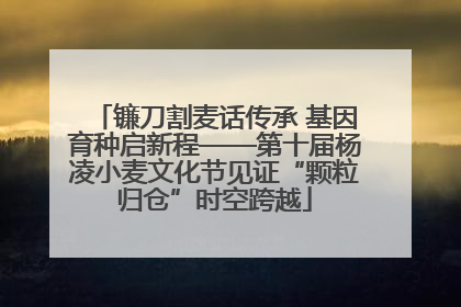 镰刀割麦话传承 基因育种启新程——第十届杨凌小麦文化节见证“颗粒归仓”时空跨越