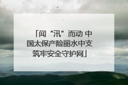 闻“汛”而动 中国太保产险丽水中支筑牢安全守护网