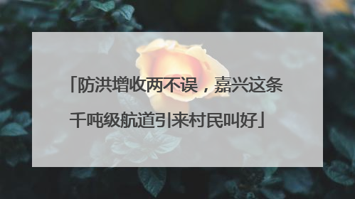 防洪增收两不误，嘉兴这条千吨级航道引来村民叫好