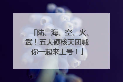 陆、海、空、火、武！五大硬核天团喊你一起来上号！