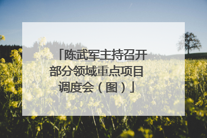陈武军主持召开部分领域重点项目调度会（图）