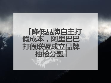 降低品牌自主打假成本，阿里巴巴打假联盟成立品牌抽检分盟