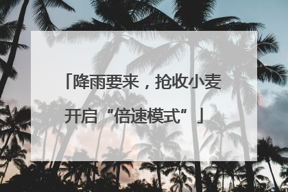 降雨要来，抢收小麦开启“倍速模式”