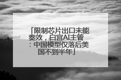 限制芯片出口未能奏效，白宫AI主管：中国模型仅落后美国不到半年