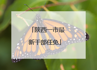 陕西一市最新干部任免