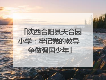 陕西合阳县天合园小学：牢记党的教导 争做强国少年