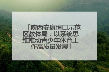 陕西安康恒口示范区教体局：以系统思维推动青少年体育工作高质量发展