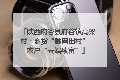 陕西府谷县府谷镇高梁村：乡货“触网出村” 农户“云端致富”