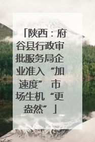 陕西：府谷县行政审批服务局企业准入“加速度” 市场生机“更盎然”