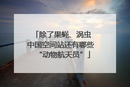 除了果蝇、涡虫 中国空间站还有哪些“动物航天员”