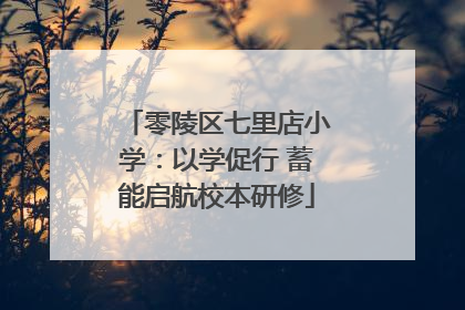 零陵区七里店小学：以学促行 蓄能启航校本研修