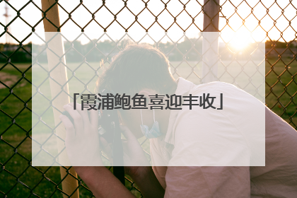 霞浦鲍鱼喜迎丰收