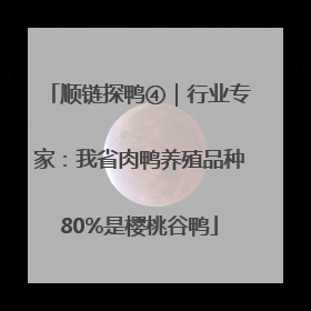 顺链探鸭④｜行业专家：我省肉鸭养殖品种80%是樱桃谷鸭