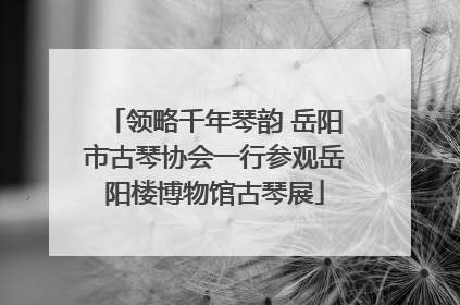 领略千年琴韵 岳阳市古琴协会一行参观岳阳楼博物馆古琴展