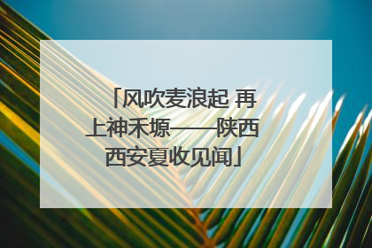 风吹麦浪起 再上神禾塬——陕西西安夏收见闻