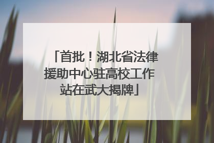 首批！湖北省法律援助中心驻高校工作站在武大揭牌