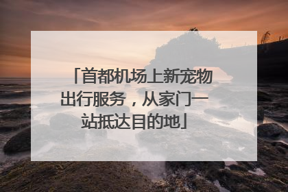 首都机场上新宠物出行服务，从家门一站抵达目的地