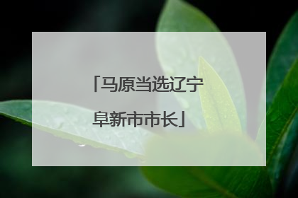 马原当选辽宁阜新市市长