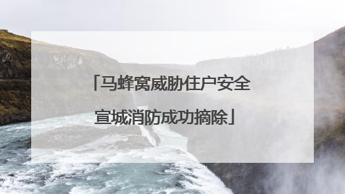 马蜂窝威胁住户安全 宣城消防成功摘除